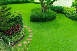 Landscape Design & Construction Services Arlington, TX