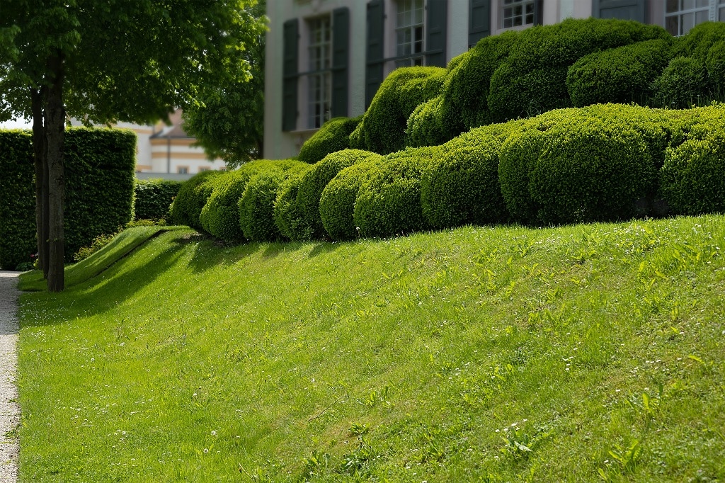 Ways to Deal With a Sloping Lawn