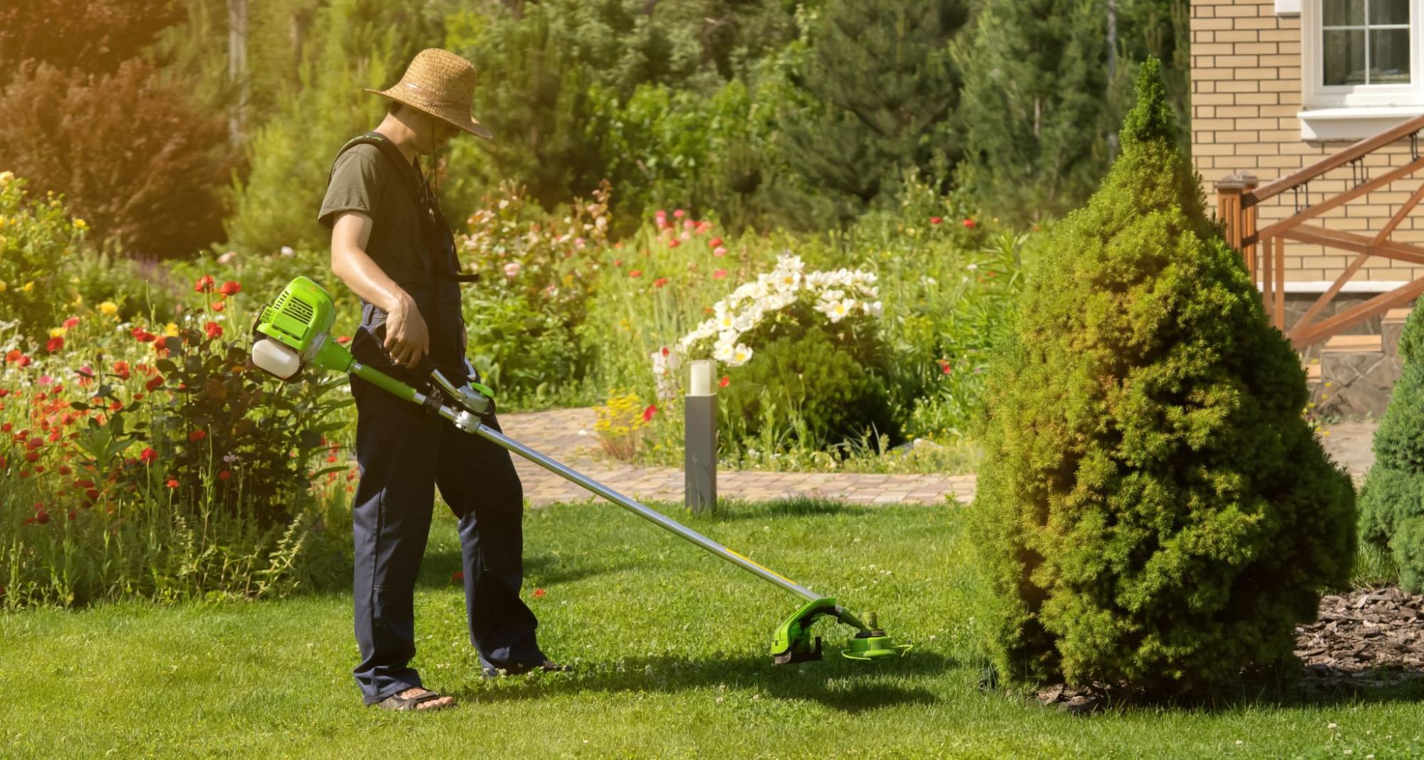 Benefits of Hiring a Lawn Care Professional