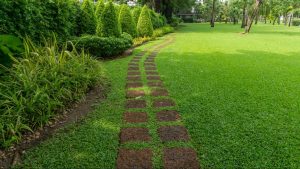 Fertilization, Mulch Installation, and Weed Control Tips for Your Lawn in Fort Worth, TX