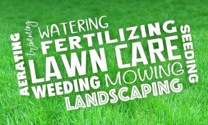 Benefits of Lawn Care Maintenance in Fort Worth