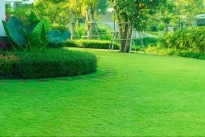 Create Your Own Haven In Paradise With Professional Landscaping in Ft Worth