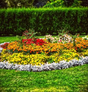 How to Keep Grass Out of Flower Beds