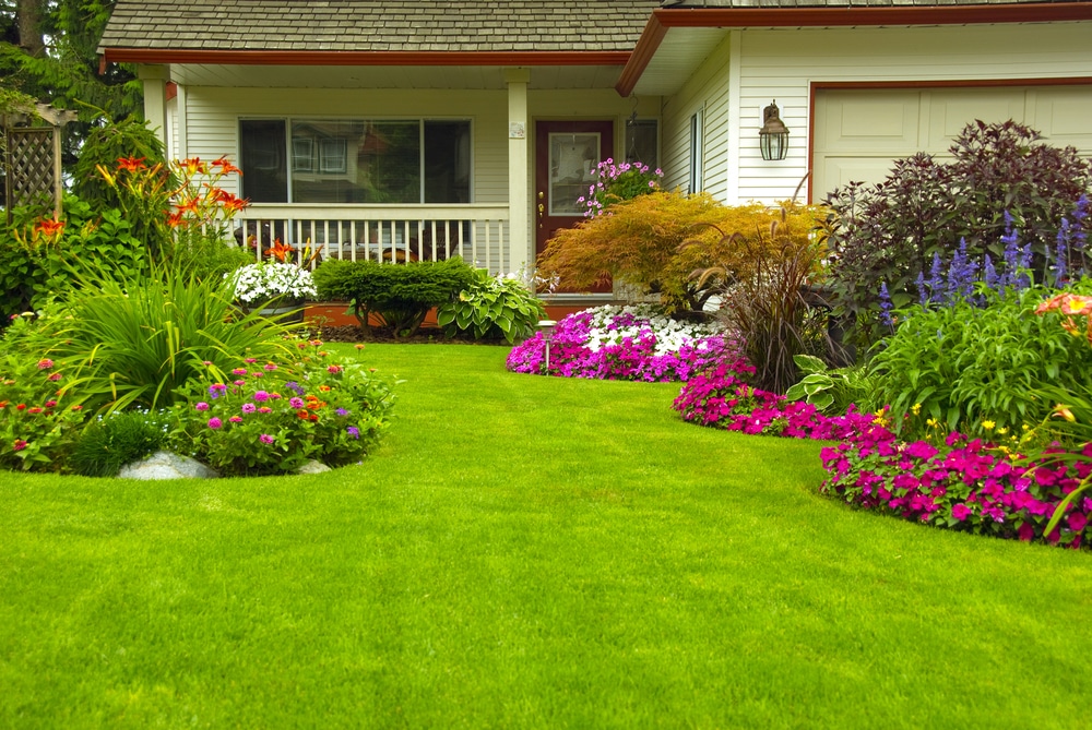 Expert Tips for Managing Your Landscaping