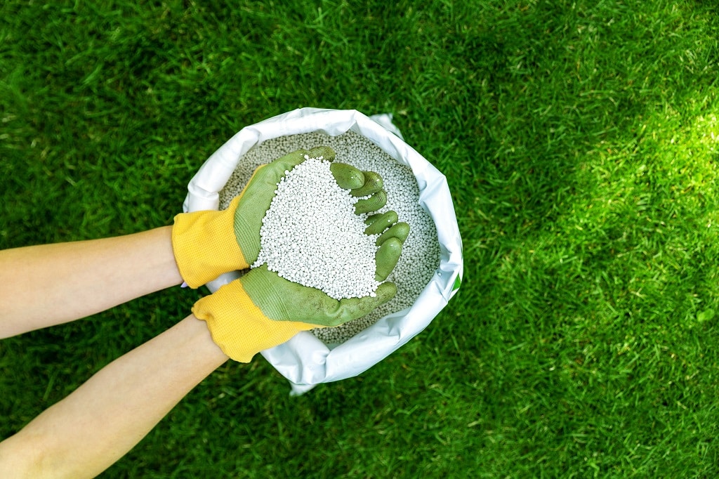 How to Prepare Your Lawn for Spring in Fort Worth, TX