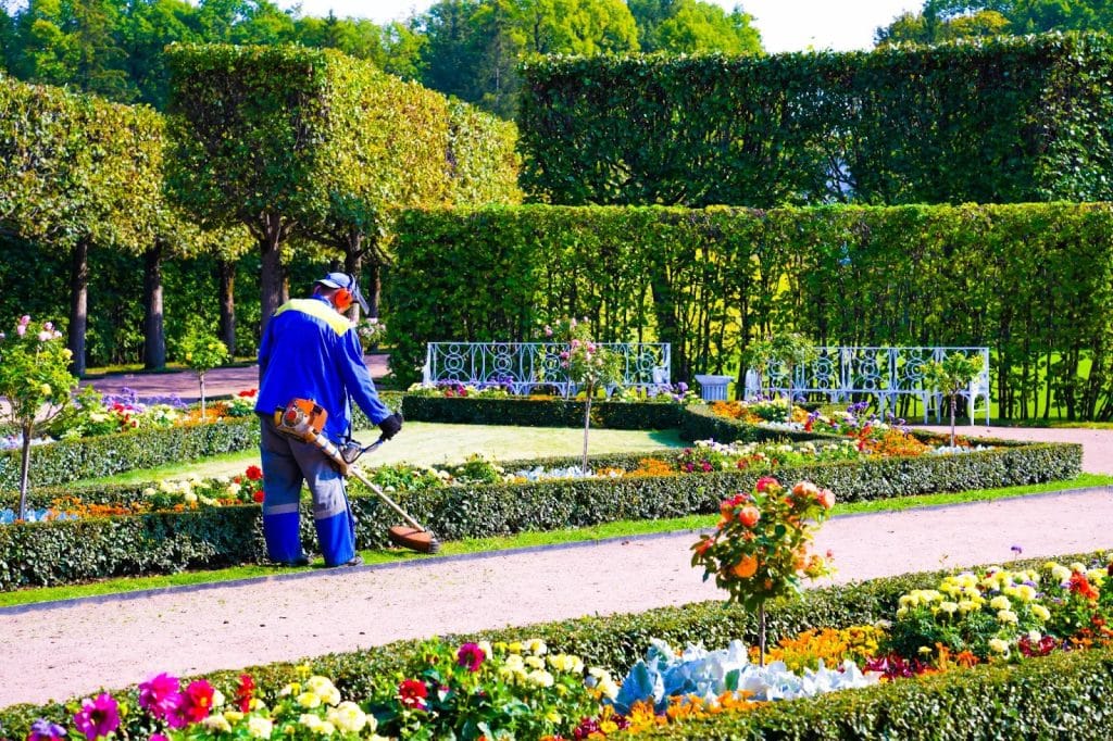 Benefits of Professional Landscape Maintenance for Your Business