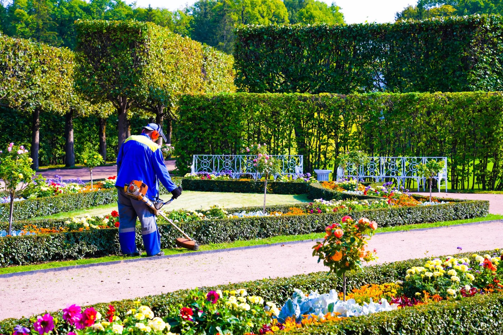 The Benefits of Professional Landscape Maintenance for Your Business