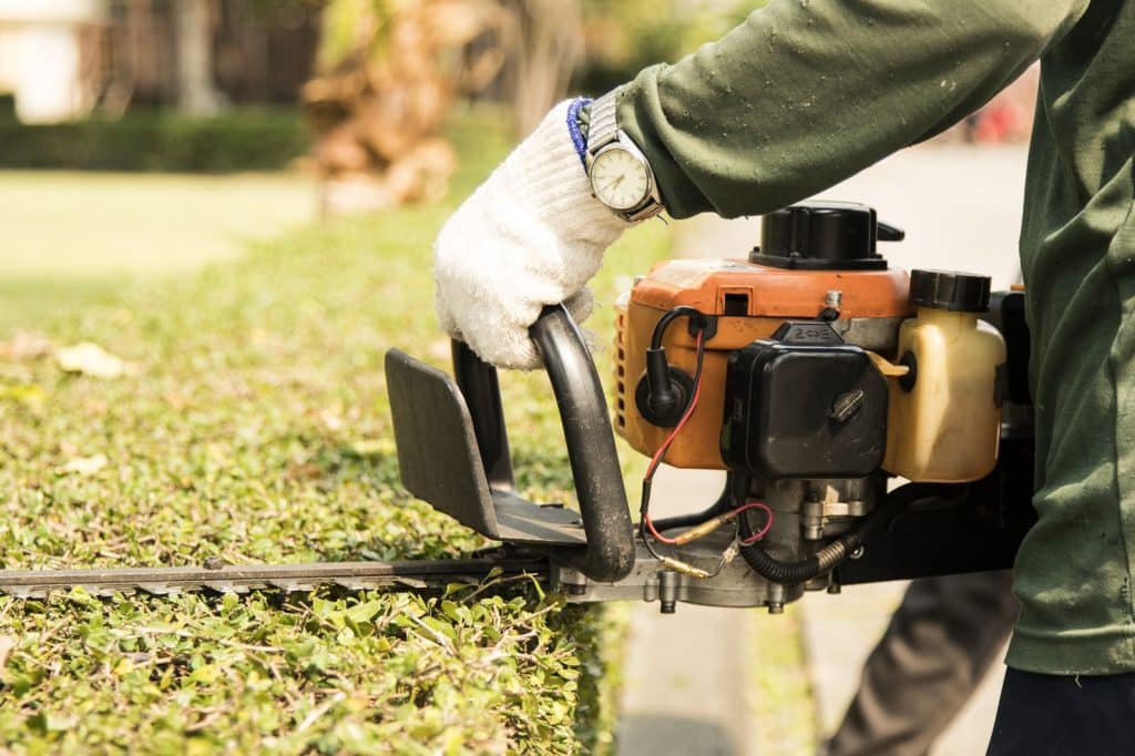 Signs Your Lawn Needs Professional Care