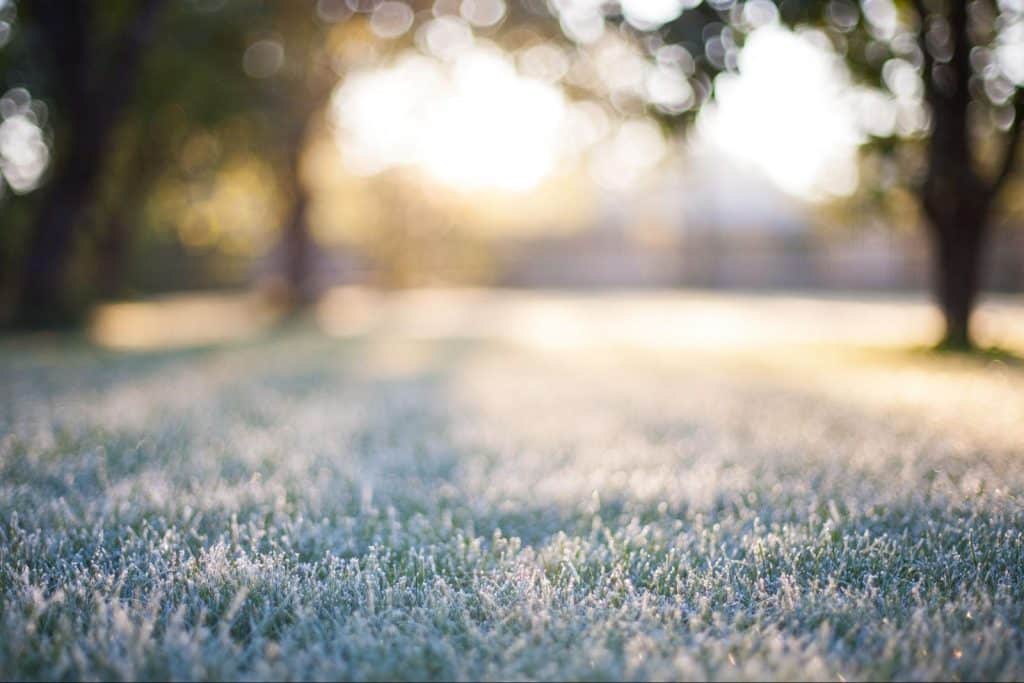 Preparing Your Lawn for Winter