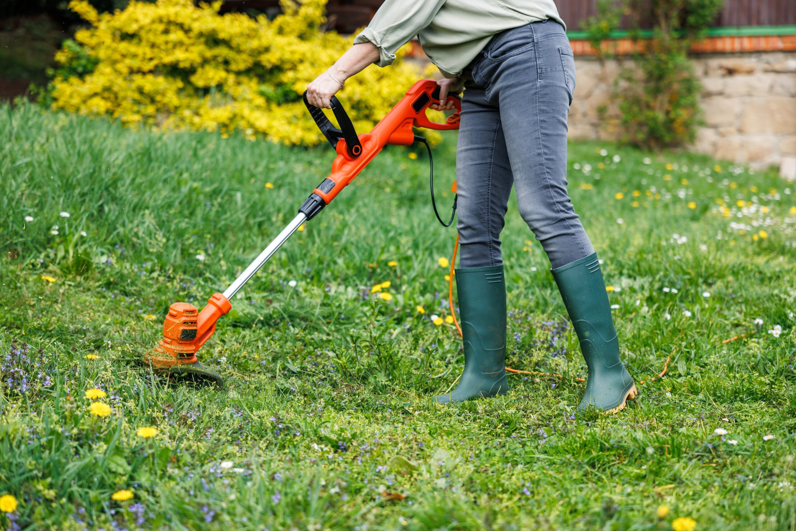 How to Prevent Weeds from Taking Over Your Fort Worth Lawn