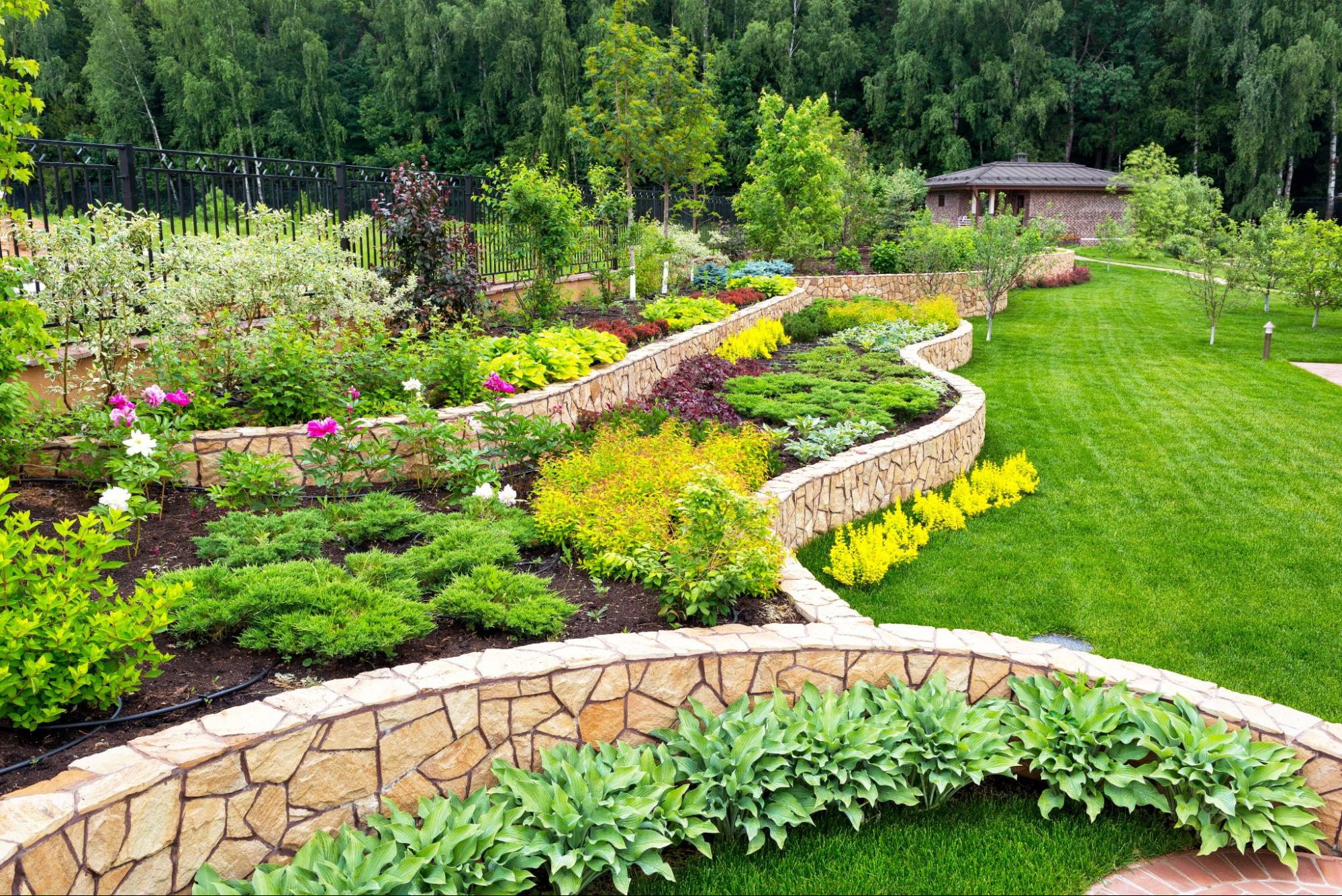 Native Plants and Flowers That Thrive in Fort Worth Landscapes