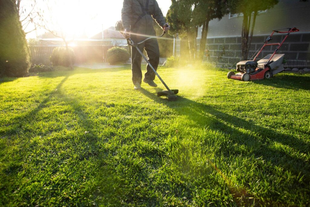 Overgrown yard before hiring lawn care service near me