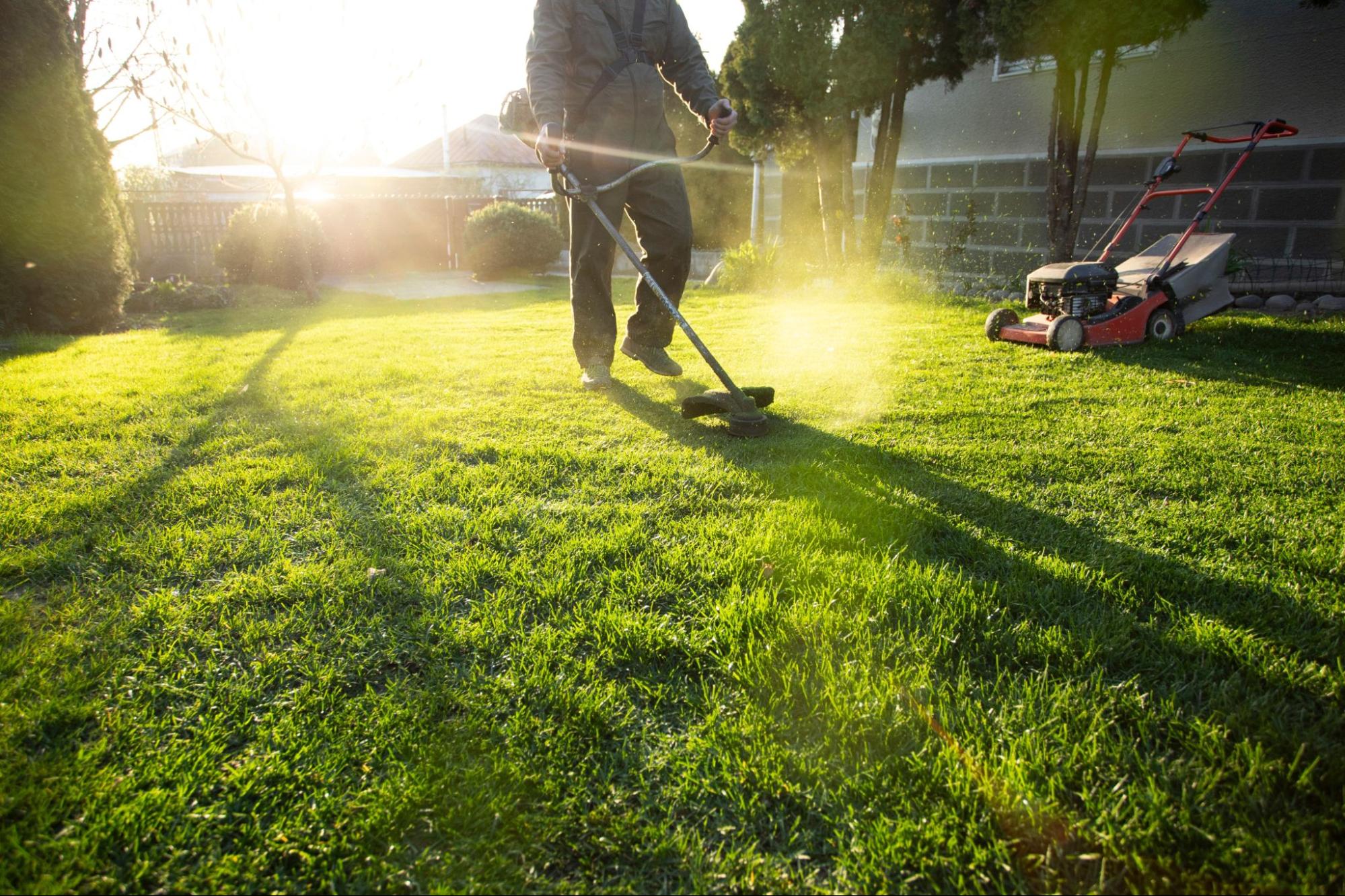 Struggling with Yard Maintenance? Find Lawn Care Near Me That Works