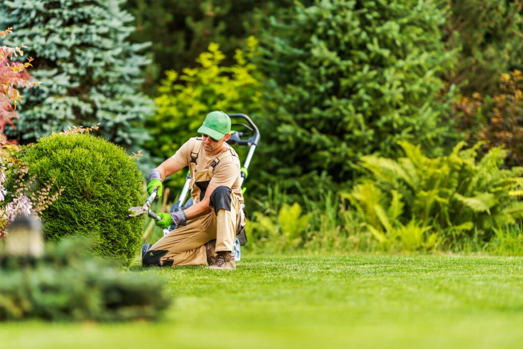 Expert Landscape Design & Lawn Care Services in Flower Mound, TX