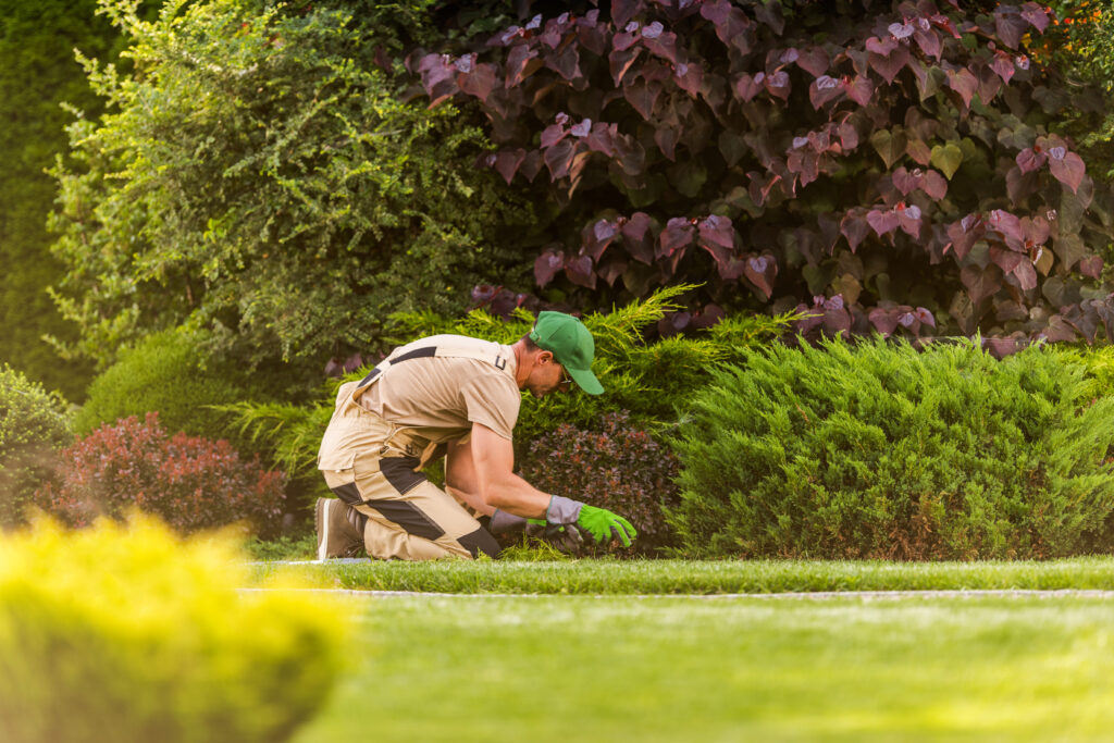 Expert Landscape Design & Lawn Care Services in North Richland Hills, TX